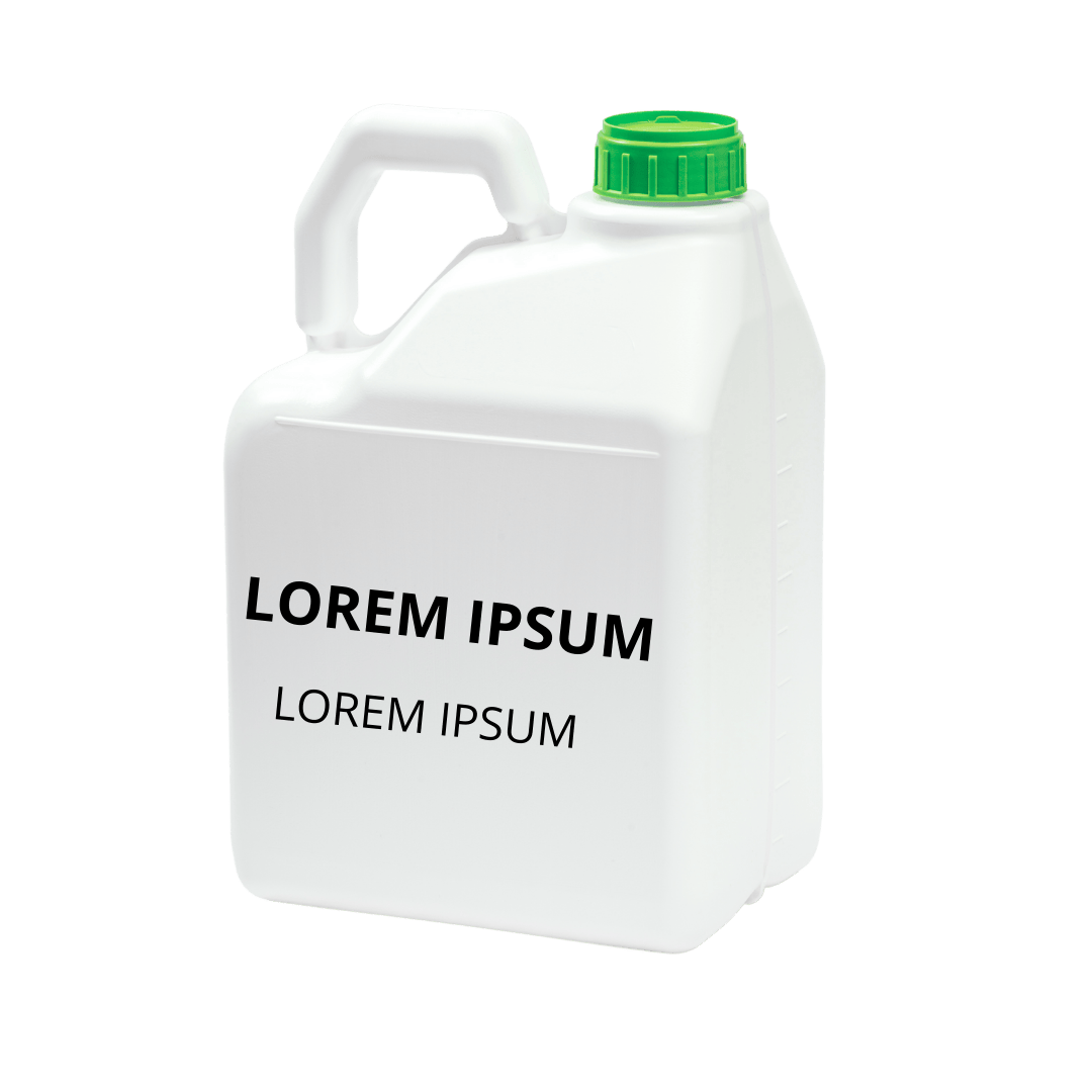 lorem ipsum