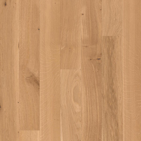 Oak Authentique 01 Chêne
